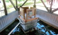 下賀茂温泉　湯の花