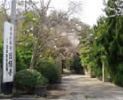 日緬寺