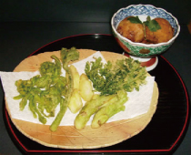 呑み食い処「藤さき」
