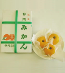 伊東のお土産の銘菓一筋・・・「氏原製菓株式会社」