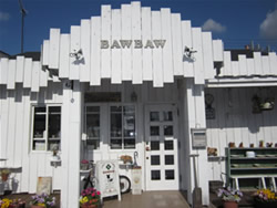 Dog　wear＆trimming　BAWBAW
