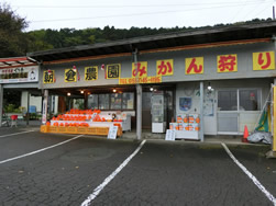 朝倉農園