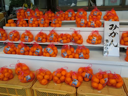 朝倉農園
