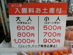 朝倉農園