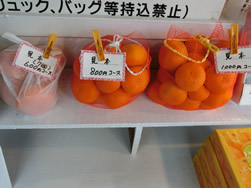朝倉農園