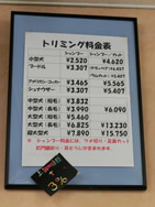 わんこのパフィー