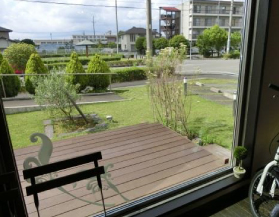 Little garden