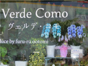 Verde Como