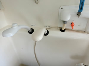 カードッグシャンプー