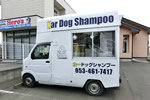 カードッグシャンプー