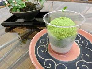 mof(モフ)