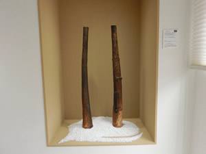 Museum SHIRASUNA FUJI