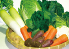箱根西麓三島野菜