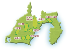 静岡茶