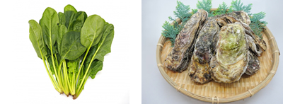 ほうれん草＋牡蠣