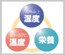 お風呂のお手入れー1